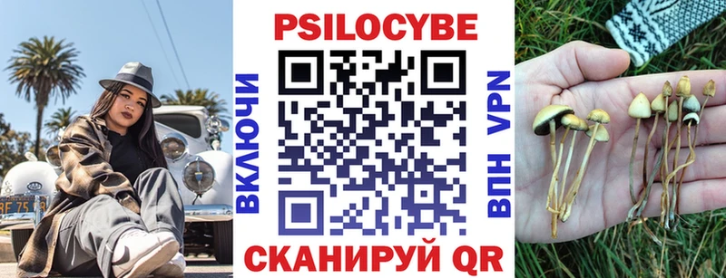 Галлюциногенные грибы Magic Shrooms  цена   Верхняя Тура 